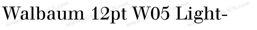 Walbaum 12pt W05 Light字体转换